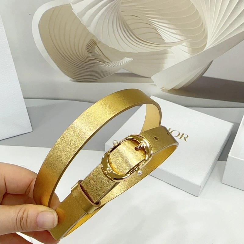 Christian Dior Belts Durable 284914