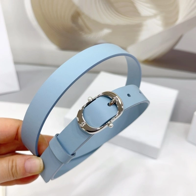 Christian Dior Belts NewStyle 284906