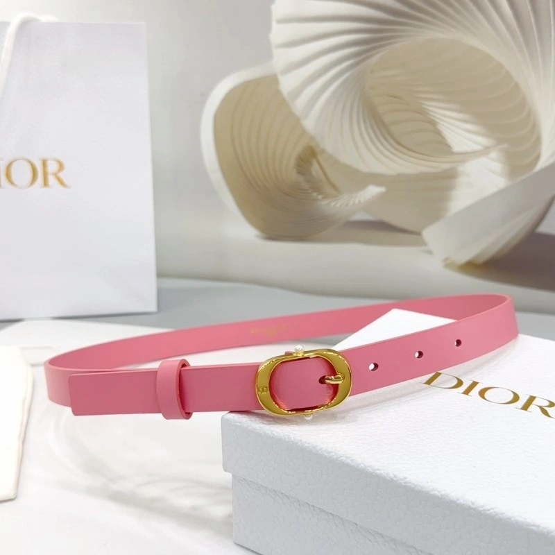 Christian Dior Belts Durable 284919