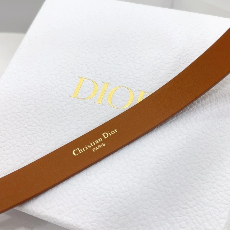 Sleek Christian Dior Belts 284916