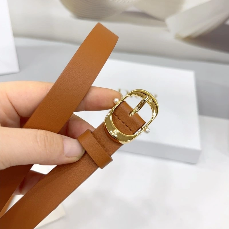 Sleek Christian Dior Belts 284916