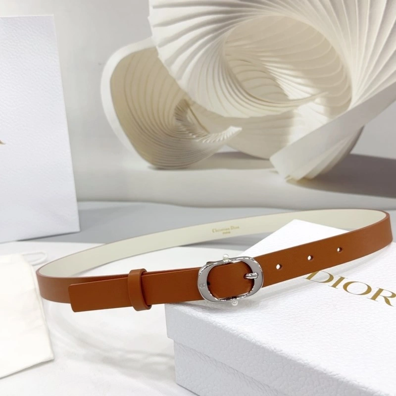 TechFriendly Christian Dior Belts 284904