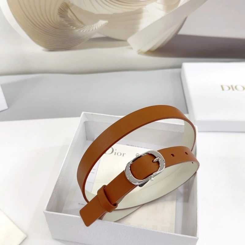 TechFriendly Christian Dior Belts 284904
