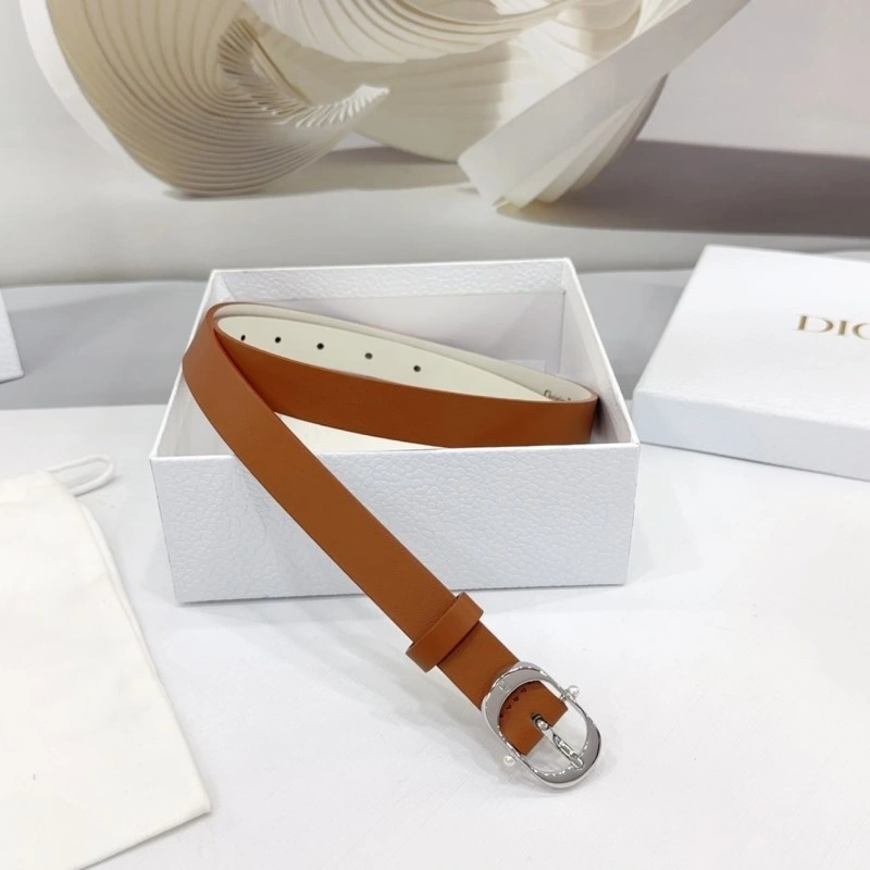 TechFriendly Christian Dior Belts 284904