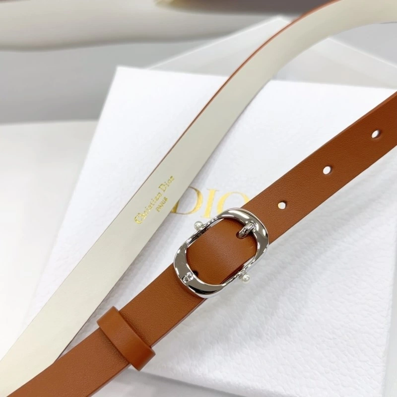 TechFriendly Christian Dior Belts 284904