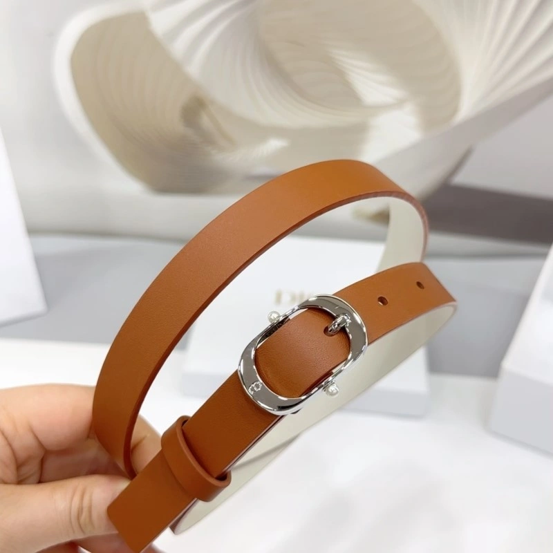 TechFriendly Christian Dior Belts 284904