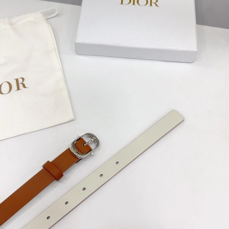 TechFriendly Christian Dior Belts 284904