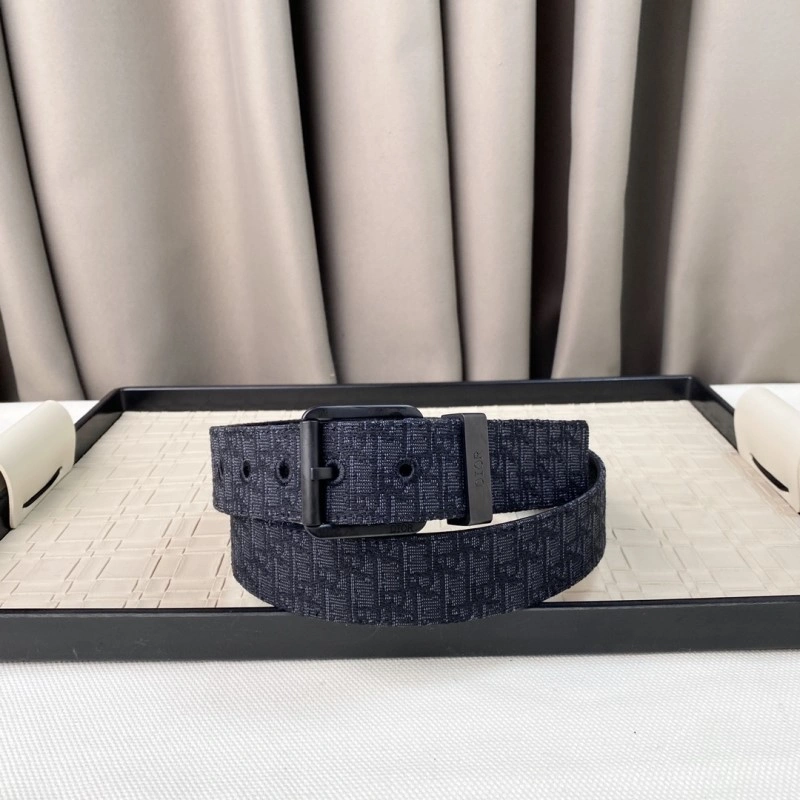 Christian Dior Belts Lightweight 284884