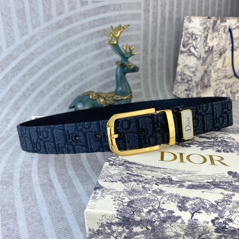 Bold Christian Dior Belts 284879