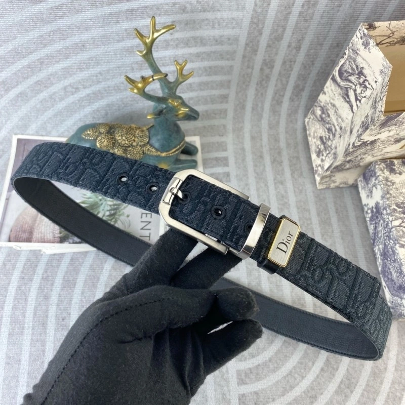 Christian Dior Belts DailyWear 284867