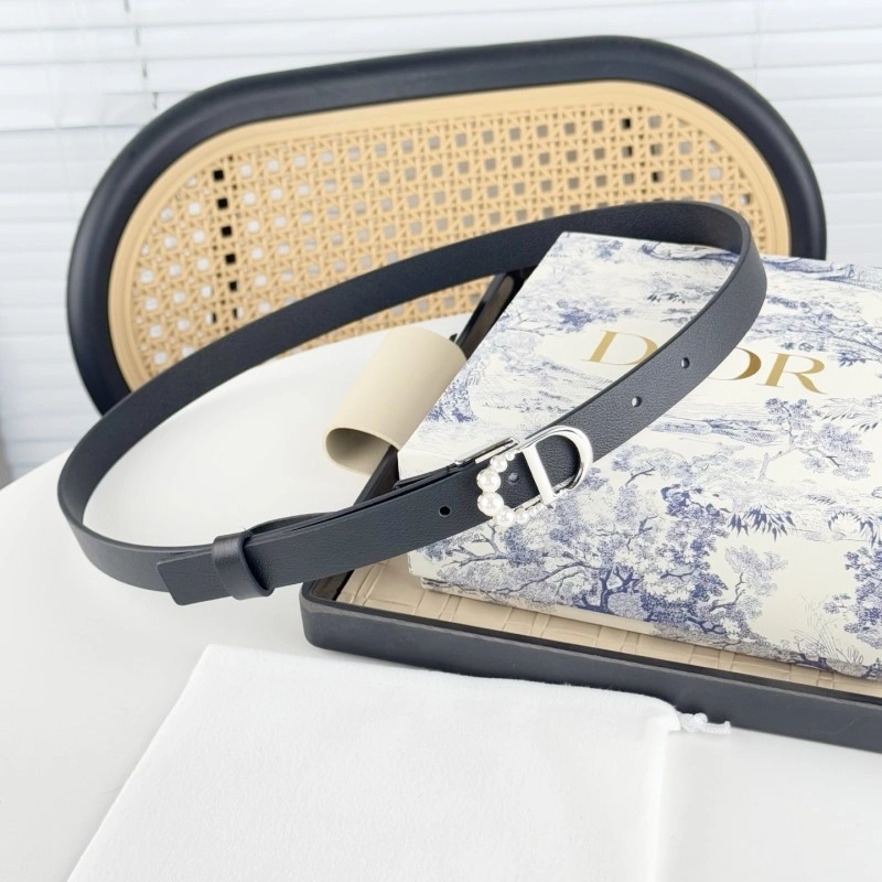 Christian Dior Belts GoAnywhere 284875