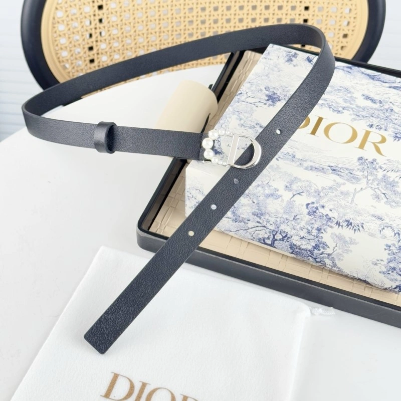 Christian Dior Belts GoAnywhere 284875