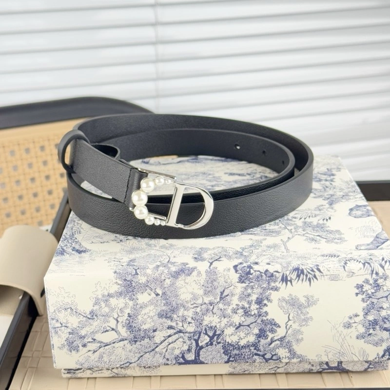 Christian Dior Belts GoAnywhere 284875
