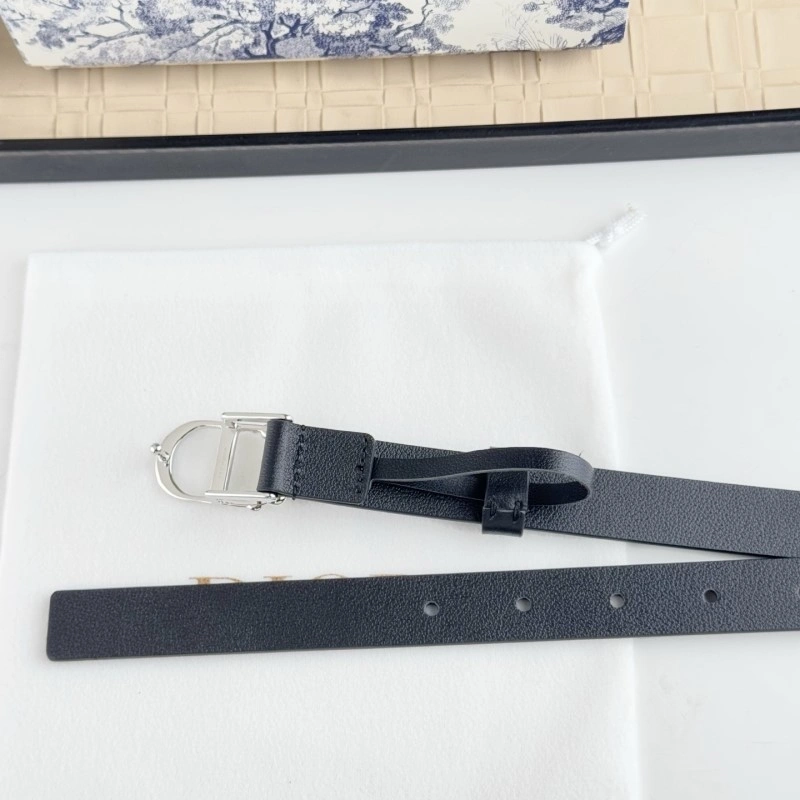 Christian Dior Belts GoAnywhere 284875