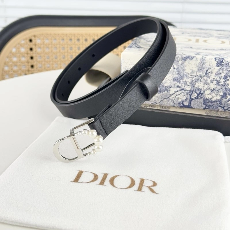 Christian Dior Belts GoAnywhere 284875