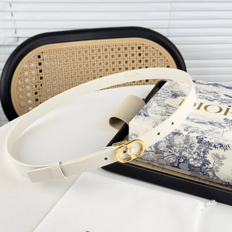 ZipUp Christian Dior Belts 284850