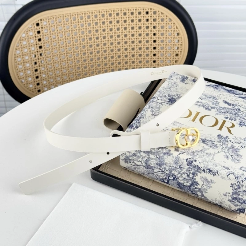 ZipUp Christian Dior Belts 284850