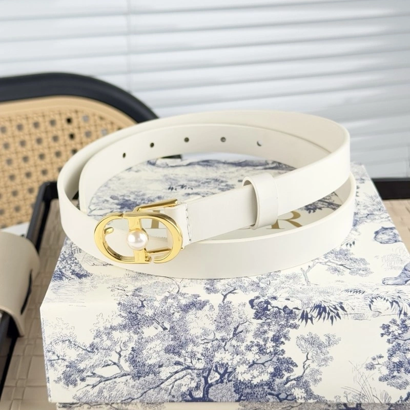 ZipUp Christian Dior Belts 284850