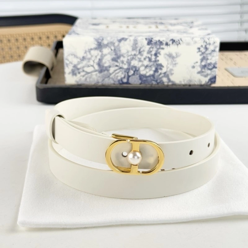 ZipUp Christian Dior Belts 284850