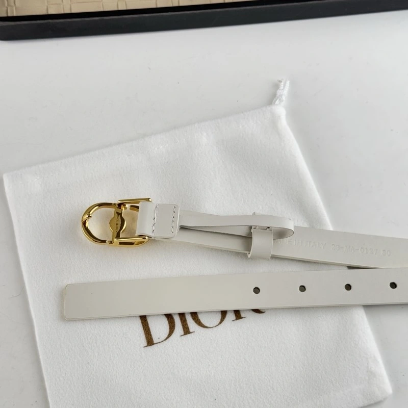 ZipUp Christian Dior Belts 284850