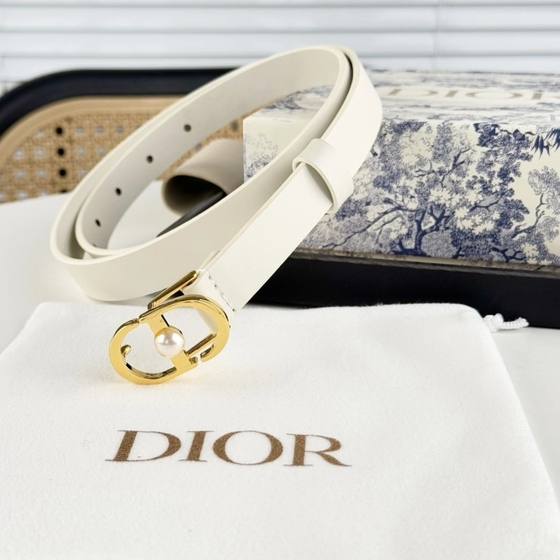 ZipUp Christian Dior Belts 284850