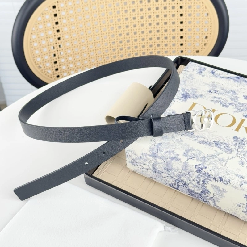 Christian Dior Belts WaterResistant 284863