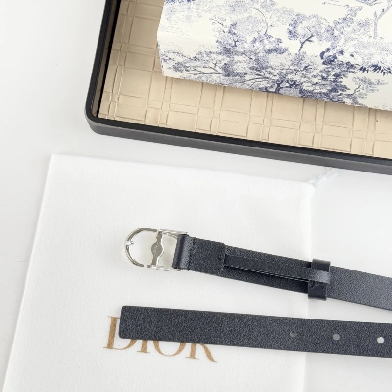 Christian Dior Belts WaterResistant 284863