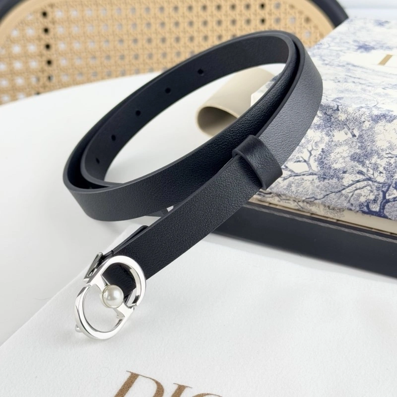 Christian Dior Belts WaterResistant 284863