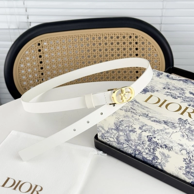 Christian Dior Belts Affordable 284869