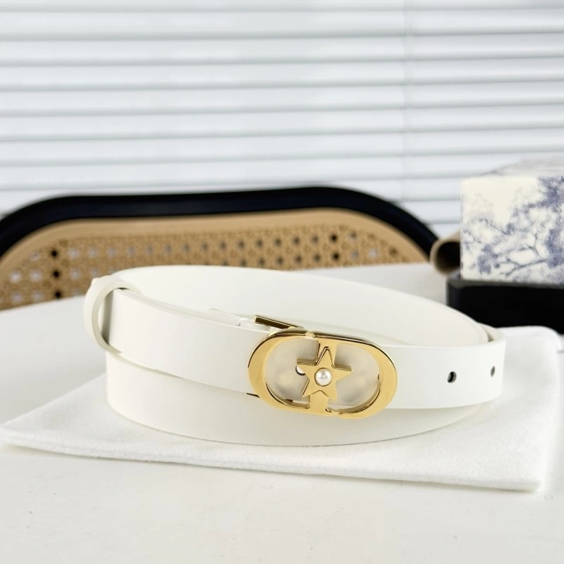 Christian Dior Belts Affordable 284869