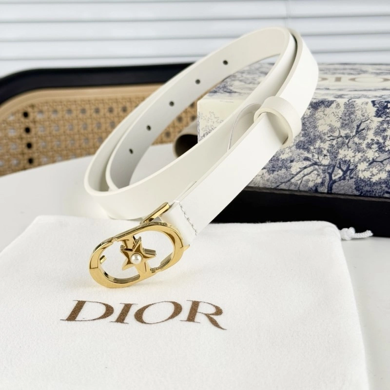Christian Dior Belts Affordable 284869