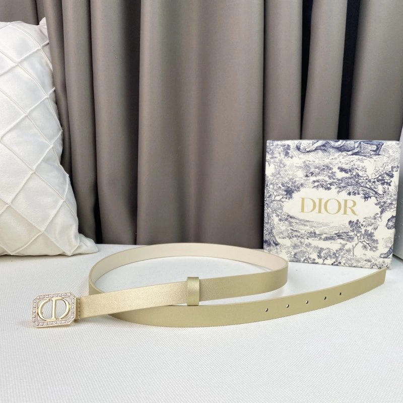 Christian Dior Belts Snug 284874