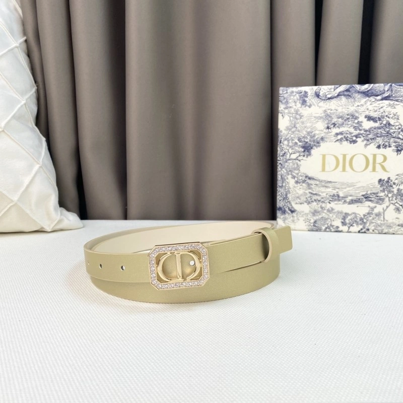Christian Dior Belts Snug 284874