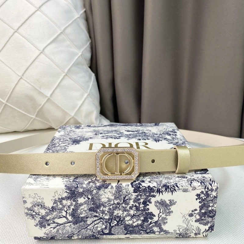 Christian Dior Belts Snug 284874
