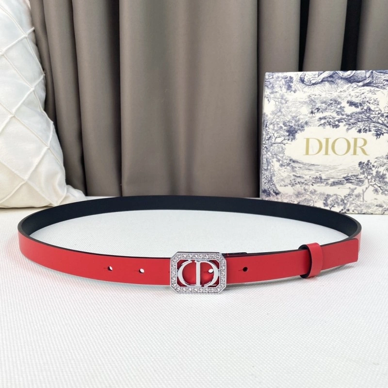 Colorful Christian Dior Belts 284857