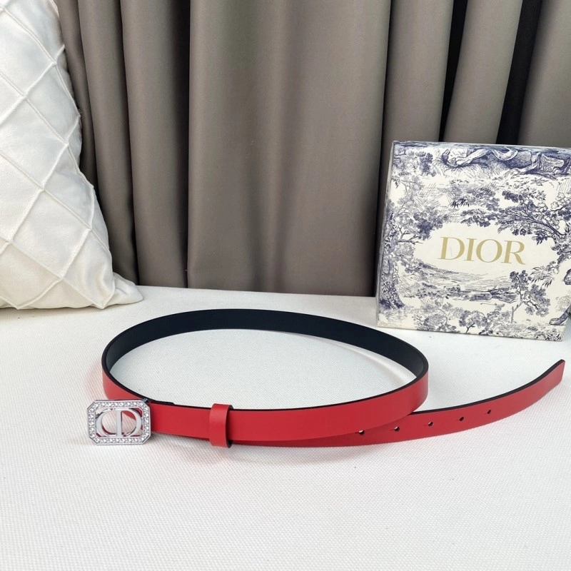 Colorful Christian Dior Belts 284857