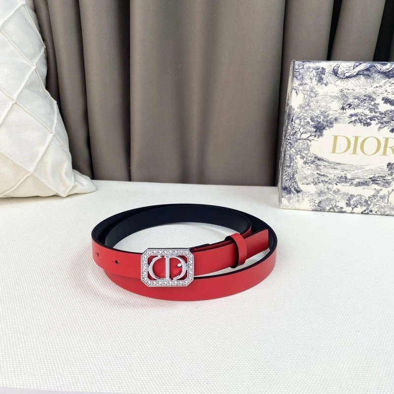Colorful Christian Dior Belts 284857