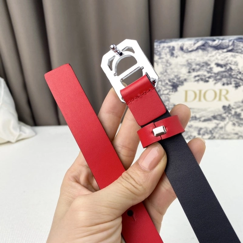 Colorful Christian Dior Belts 284857