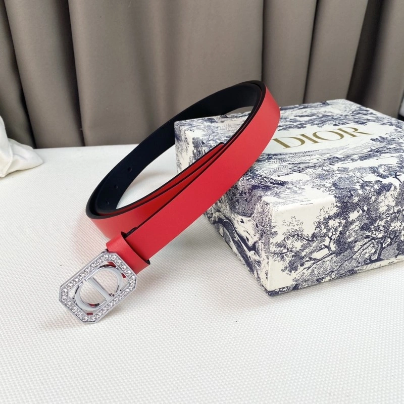 Colorful Christian Dior Belts 284857