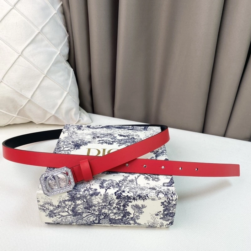 Colorful Christian Dior Belts 284857
