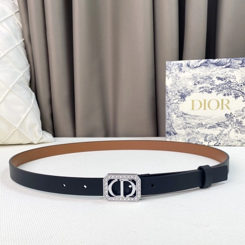 Christian Dior Belts Resilient 284858