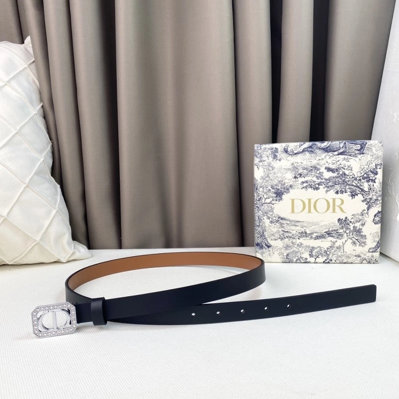Christian Dior Belts Resilient 284858