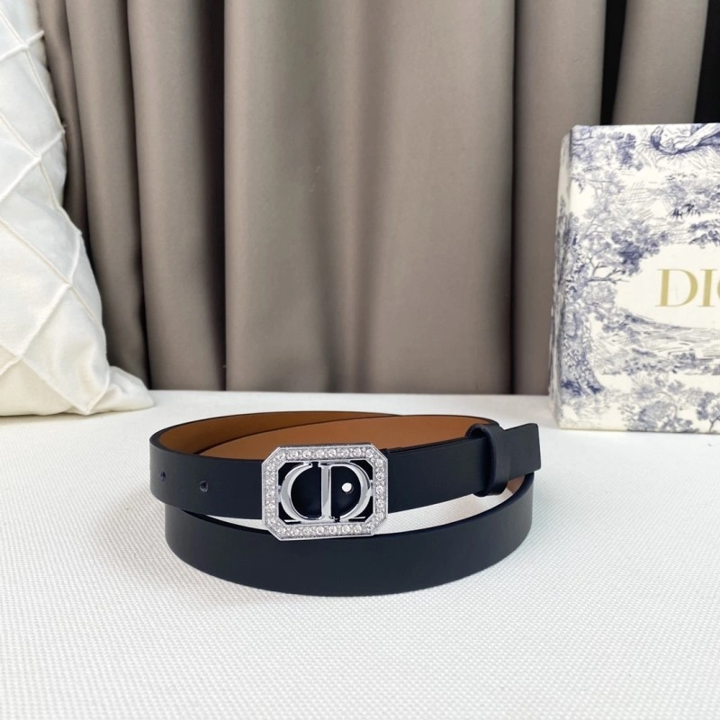 Christian Dior Belts Resilient 284858