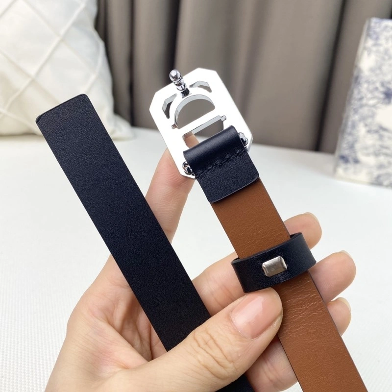 Christian Dior Belts Resilient 284858
