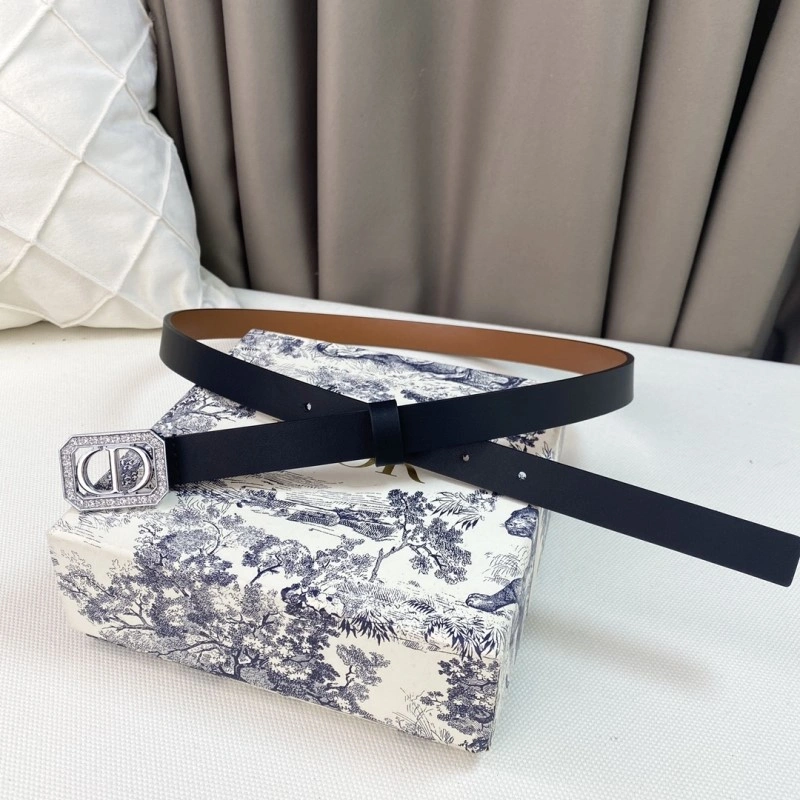 Christian Dior Belts Resilient 284858