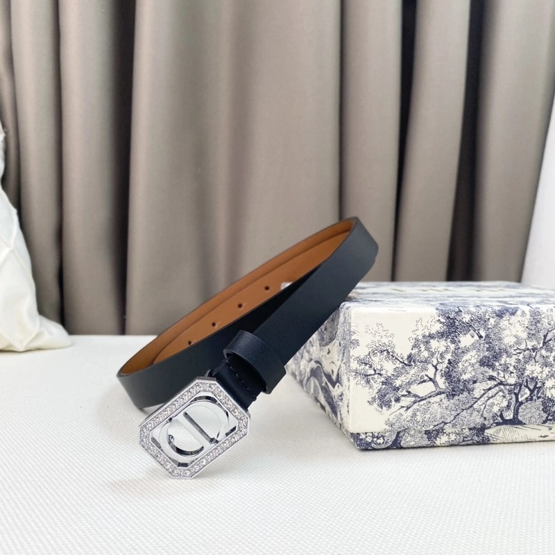 Christian Dior Belts Resilient 284858