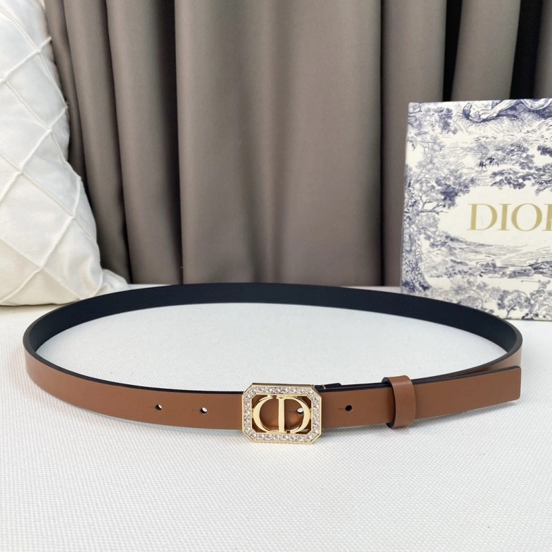 WrinkleFree Christian Dior Belts 284860