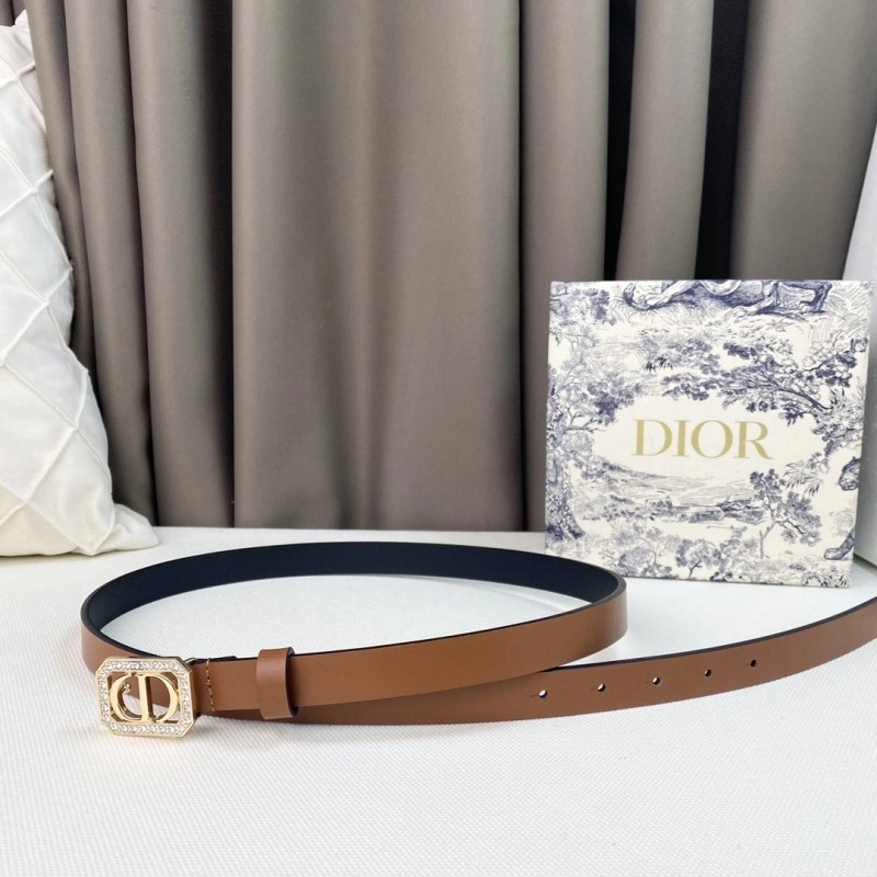 WrinkleFree Christian Dior Belts 284860