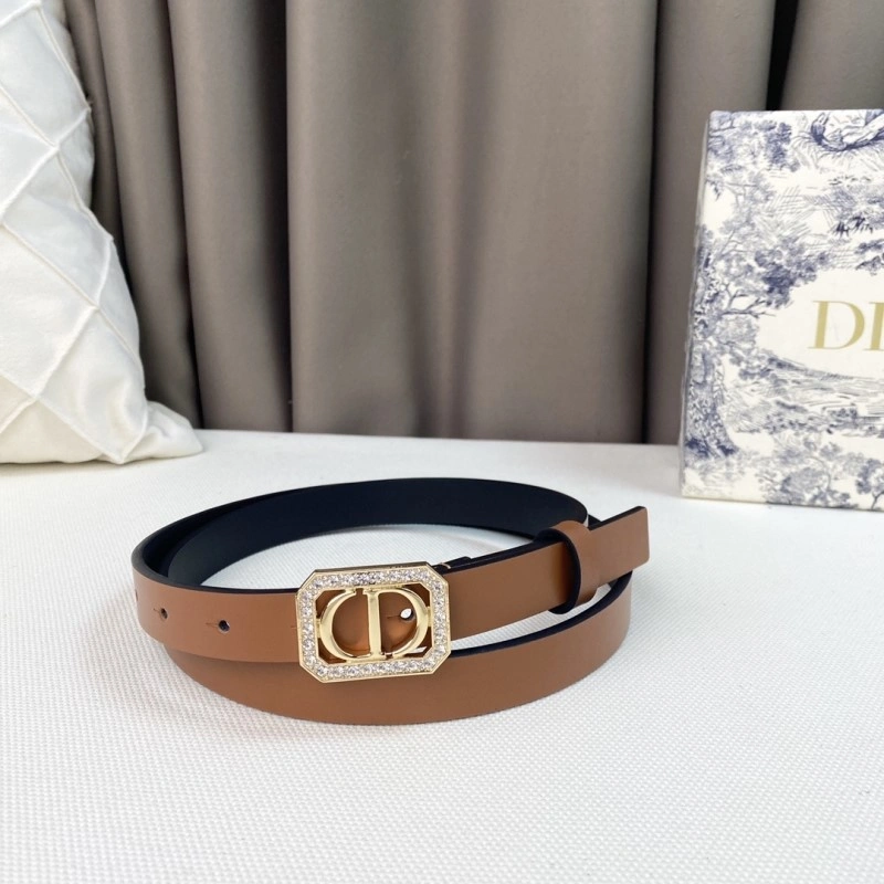 WrinkleFree Christian Dior Belts 284860