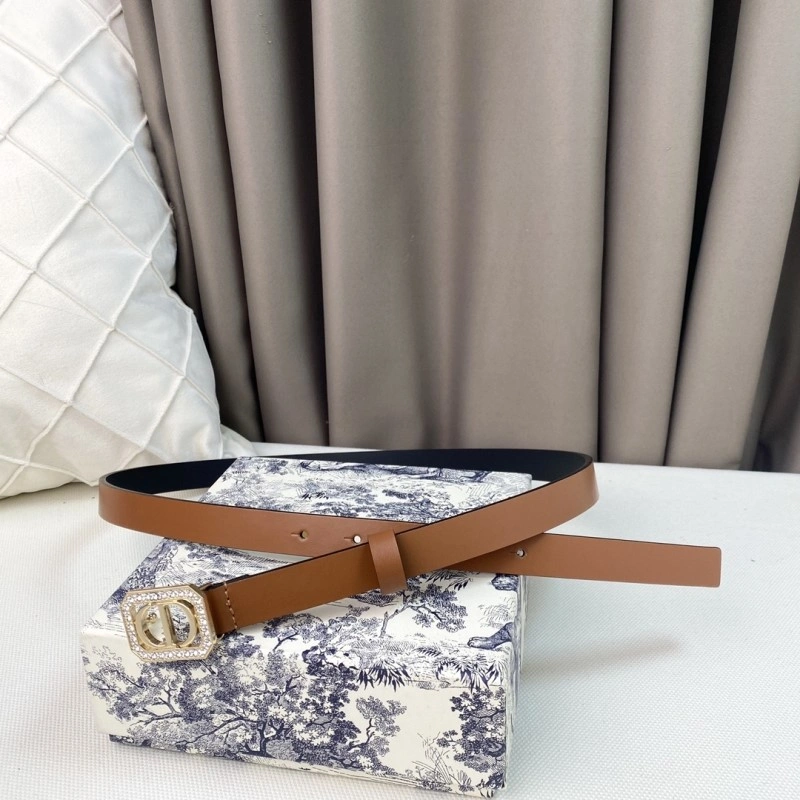 WrinkleFree Christian Dior Belts 284860